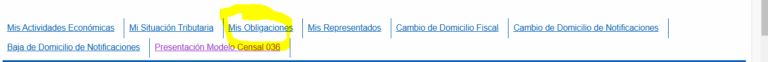 Menú Mis obligaciones tributarias